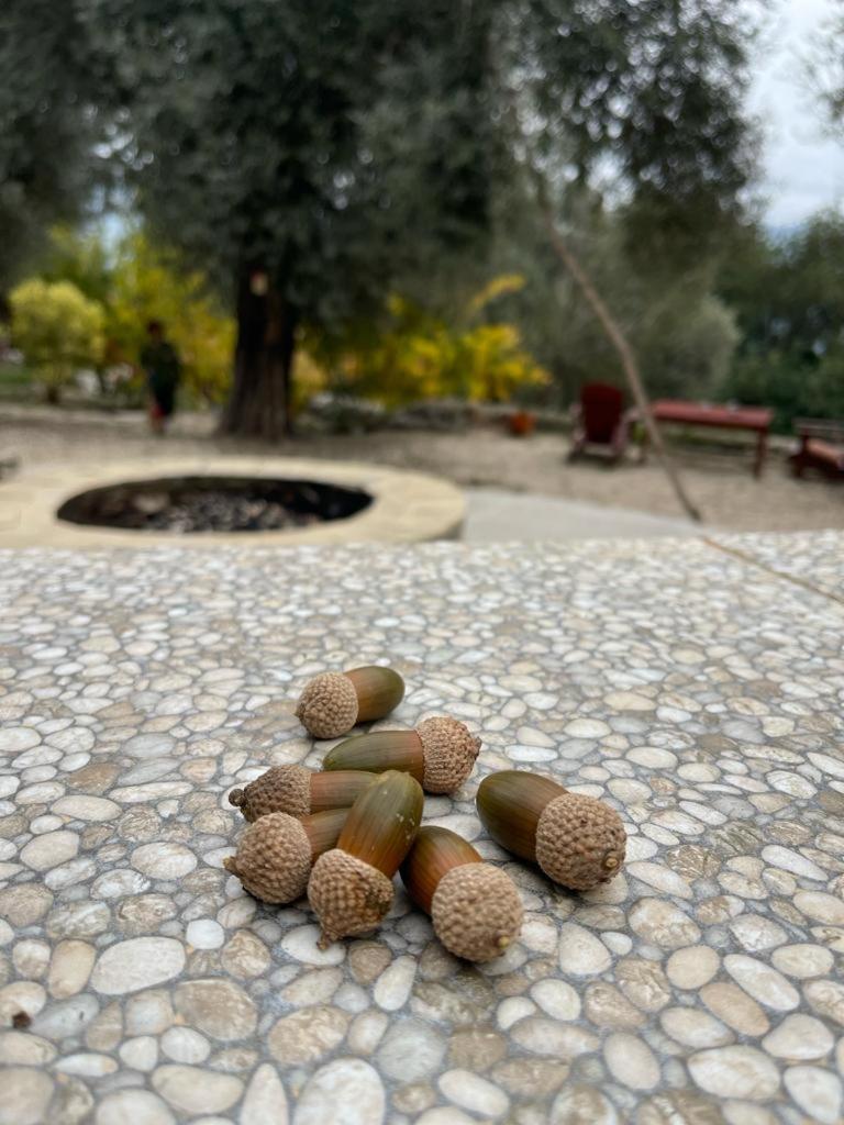 Antalya Bodrum Kayasi Dag Oteli Hasdumen Dış mekan fotoğraf