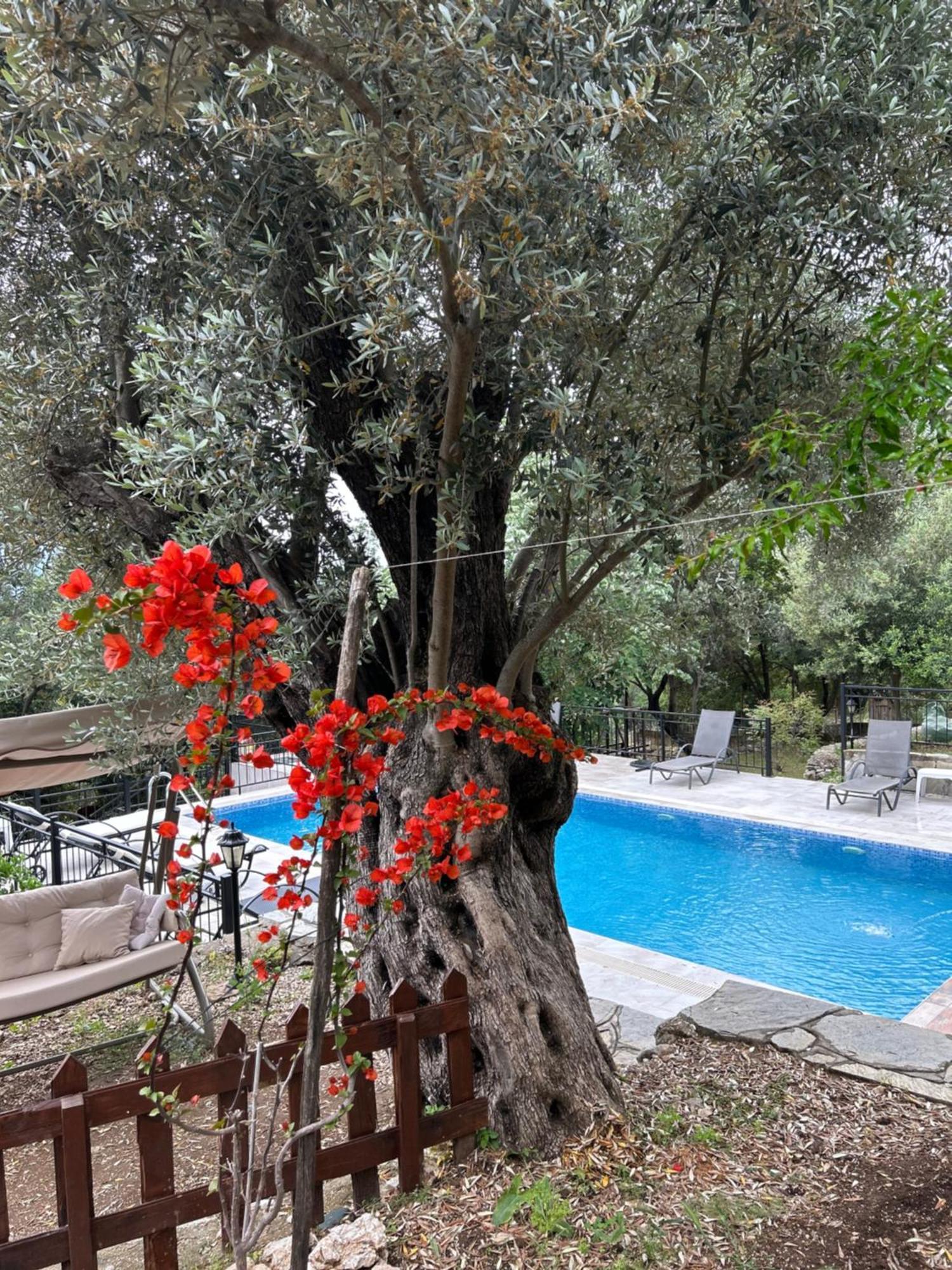 Antalya Bodrum Kayasi Dag Oteli Hasdumen Dış mekan fotoğraf